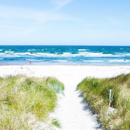 Gustavia Koenigsstuhl *